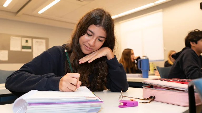 Desempenho acadêmico