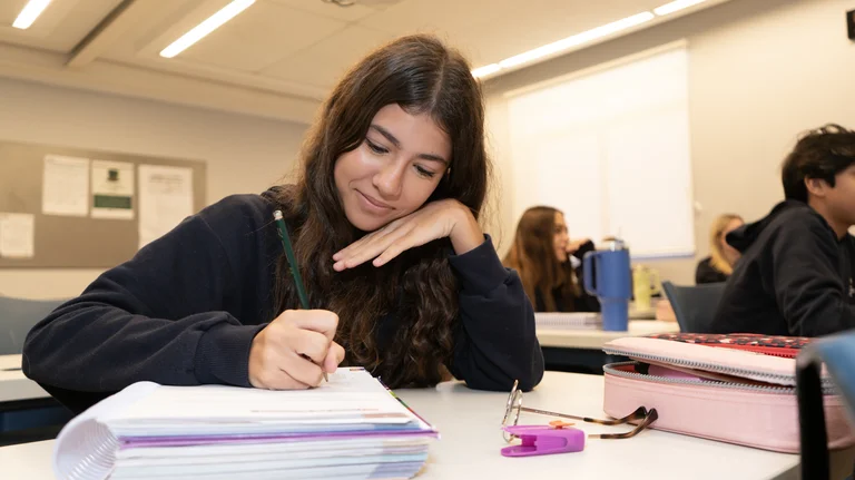 Desempenho acadêmico