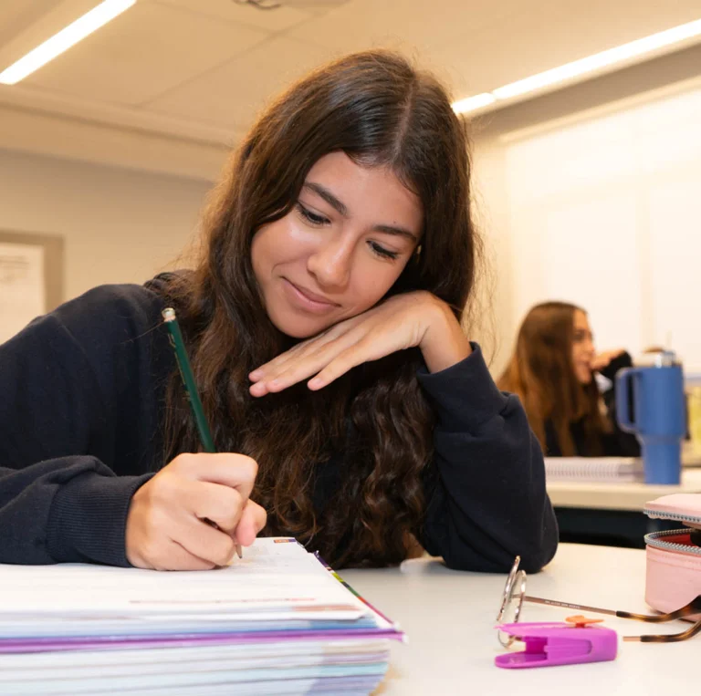 Desempenho acadêmico