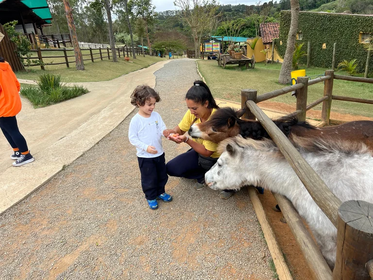 Viagens Educacionais